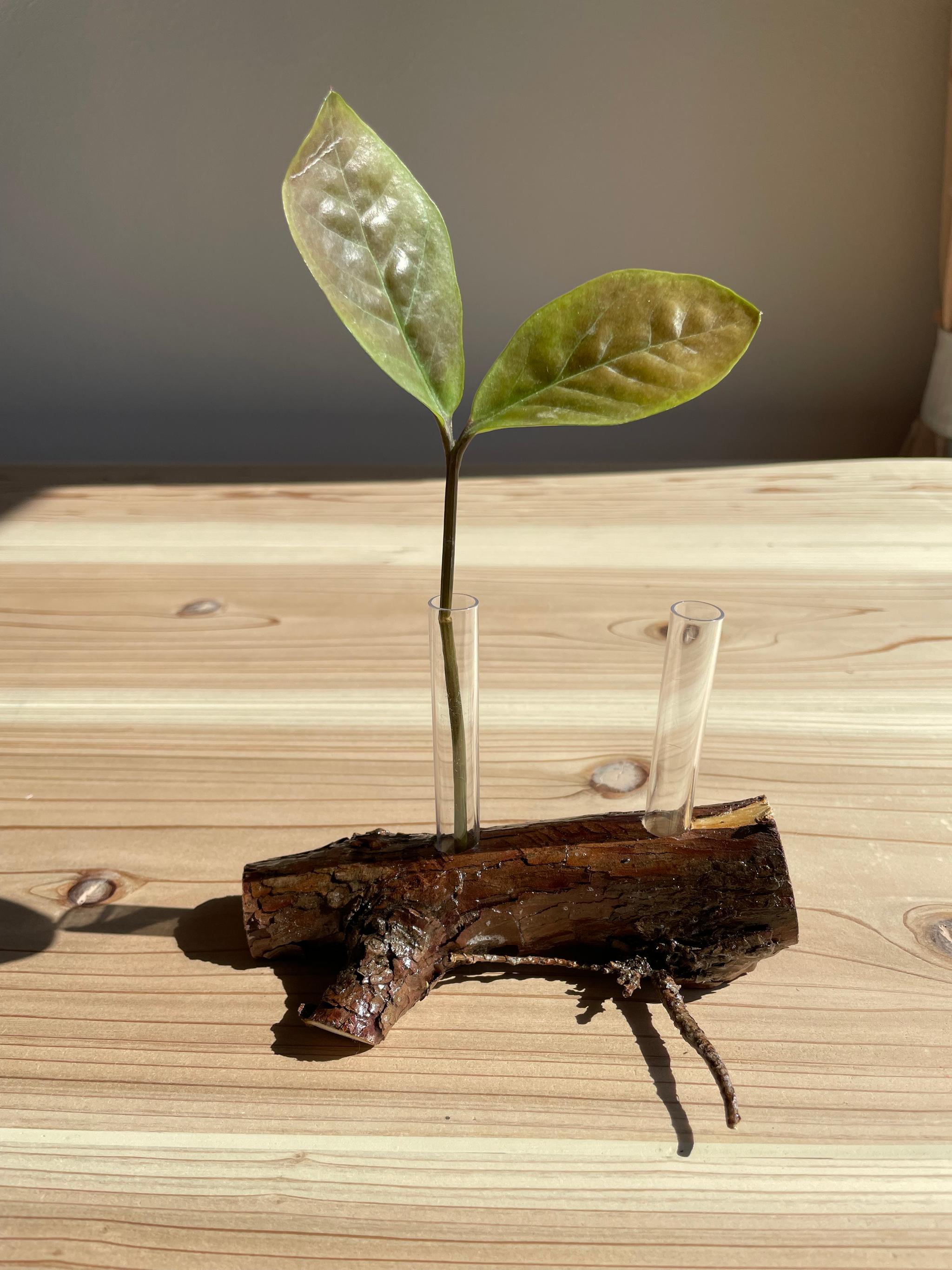 切り株の2輪挿し